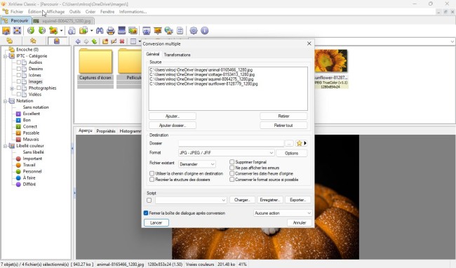 XnView 2.51.5 Complete instal the last version for windows