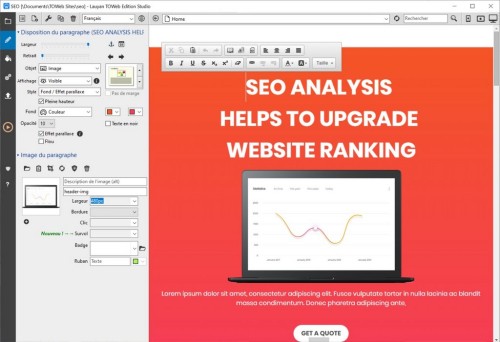 Editeur WYSIWYG SEO de ToWeb