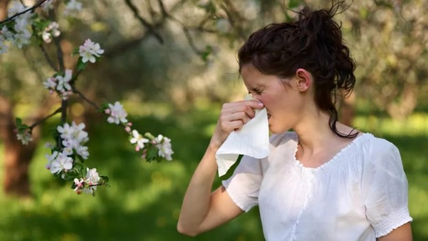 Allergies : ces applications vous alertent quand il y a du pollen