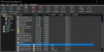 Internet Download Manager Interface