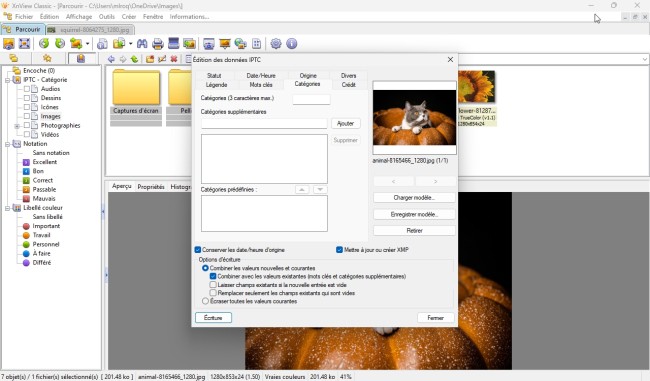 XnView 2.51.5 Complete for mac download