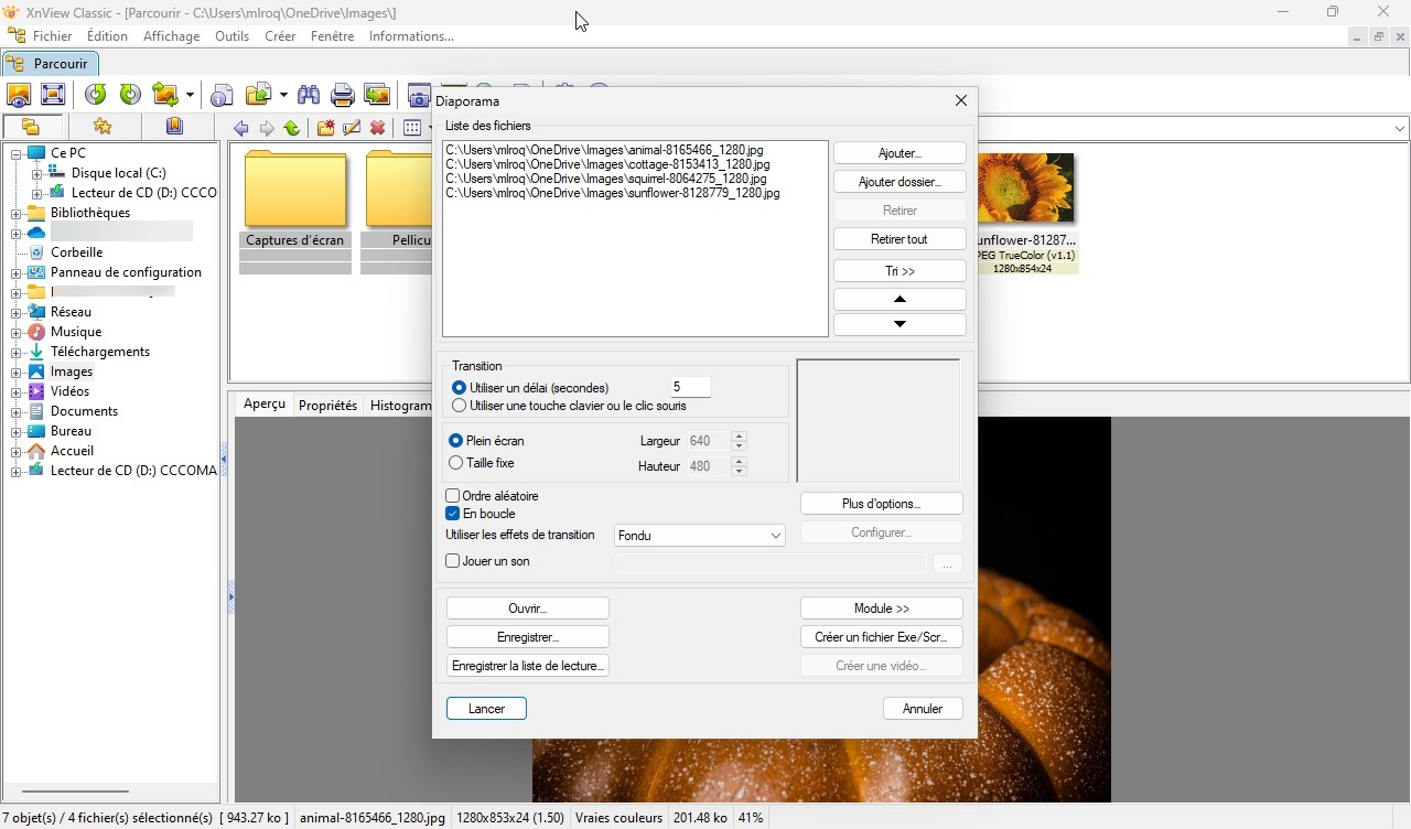 XnView 2.51.5 Complete download the new version for windows