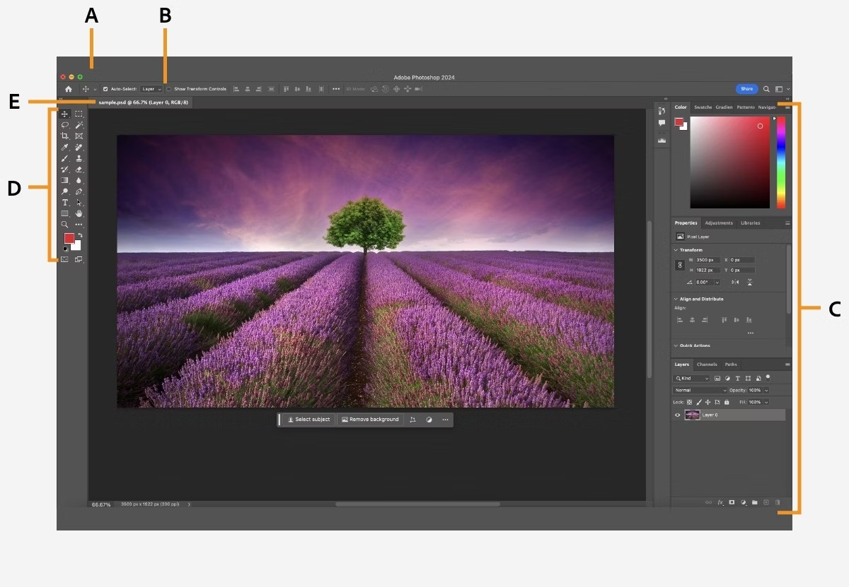 Download Adobe Photoshop For Windows MacOS Android IOS And Web App 