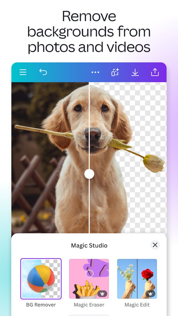 Download Canva free For Windows MacOS Android IOS And Web App Download canva free for windows macos android ios and web app