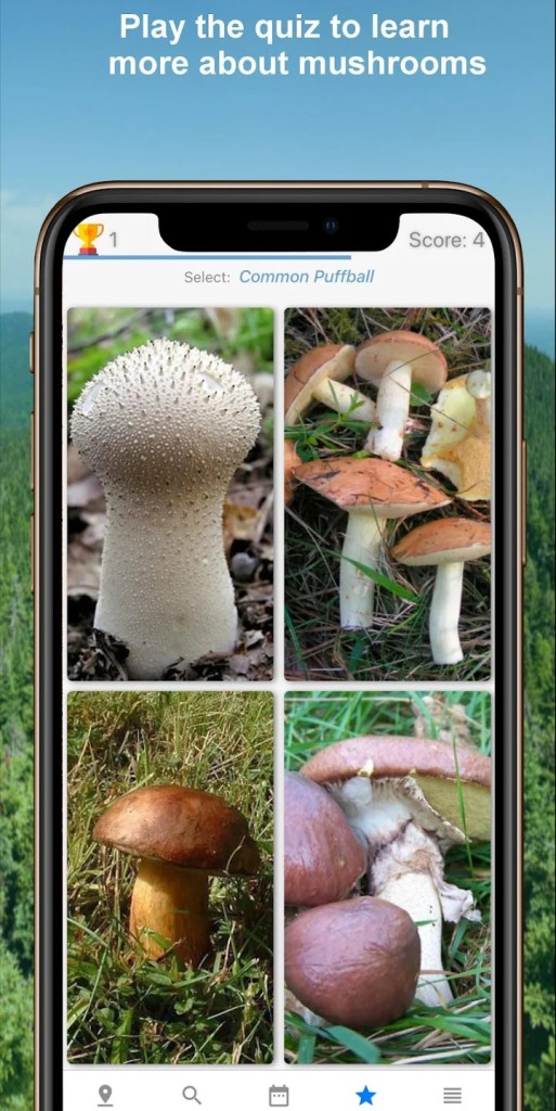 Download Mushroom Identify (free) for Android, APK, iOS and Web