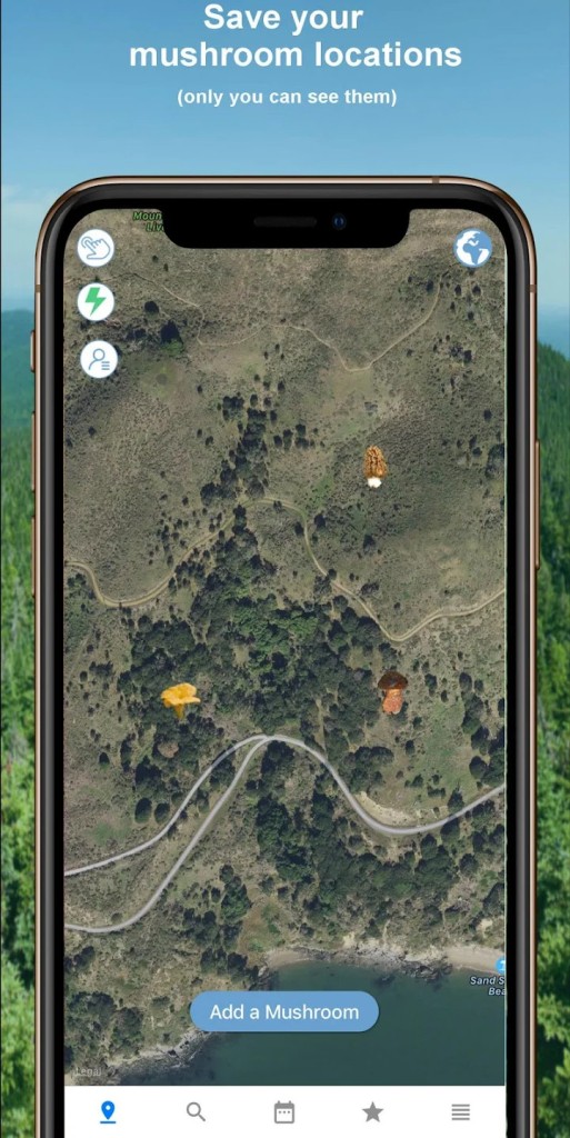 Download Mushroom Identify (free) for Android, APK, iOS and Web