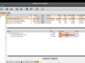 qBittorrent 4.5.4 free download