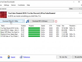 viddly youtube downloader for pc