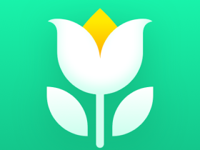 Logo Plant Parent - Guide entretien