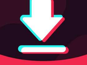 TT Video Downloader - TikSaver