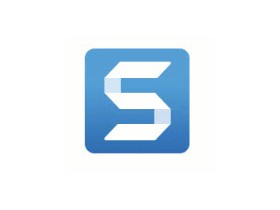 Logo SnagIt