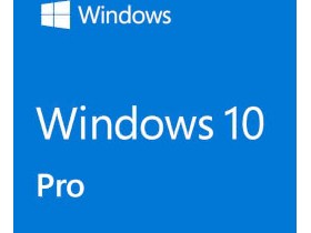 Windows 10 Pro