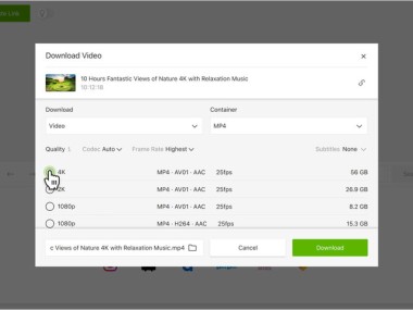 4k Video Downloader Plus