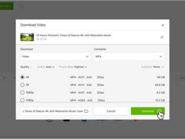 4k Video Downloader Plus