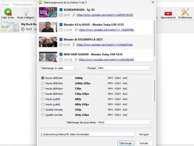 4k Video Downloader Plus