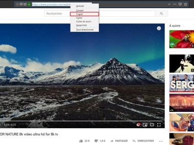 4k Video Downloader Plus