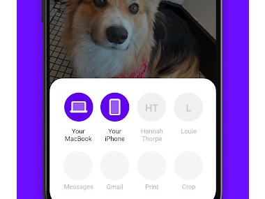 Blip (File Transfer)