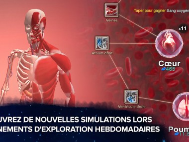 Cellule à la singularité