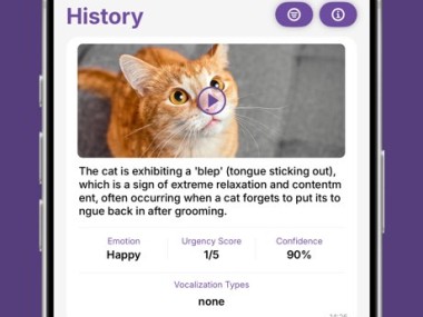 Felingo - Cat Translator