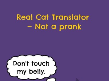 Felingo - Cat Translator