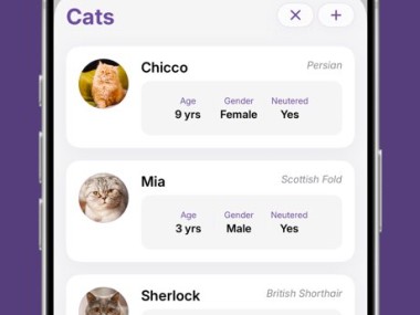 Felingo - Cat Translator