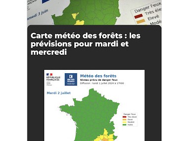 Feux de Forêt