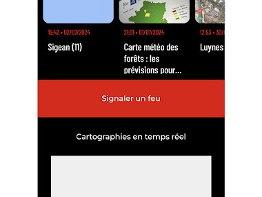 Feux de Forêt