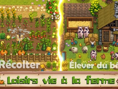 Harvest Town