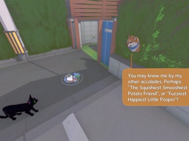 Little Kitty Big City