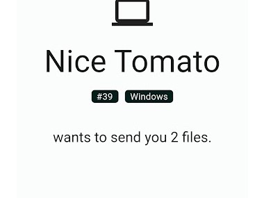 LocalSend