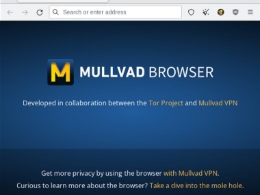 Mullvad Browser