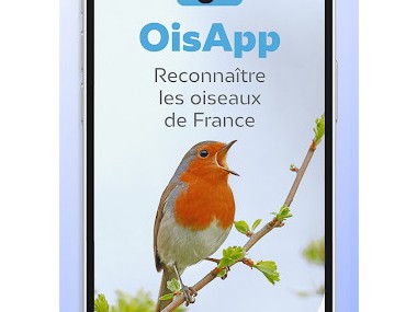 Ois'App - Oiseaux de France