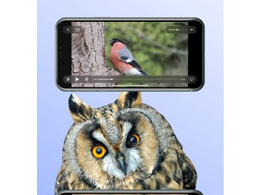 Ois'App - Oiseaux de France