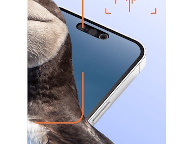 Ois'App - Oiseaux de France
