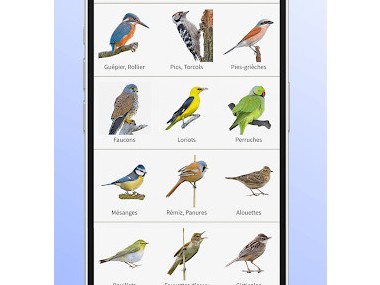 Ois'App - Oiseaux de France