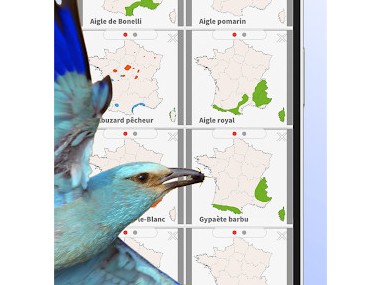 Ois'App - Oiseaux de France