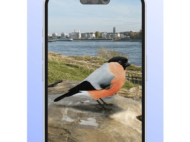 Ois'App - Oiseaux de France