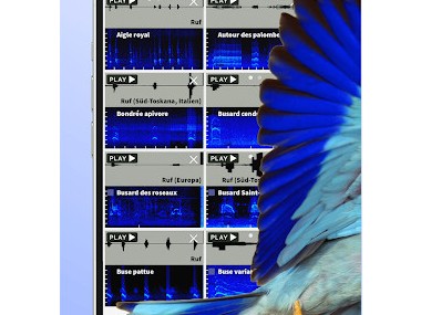 Ois'App - Oiseaux de France