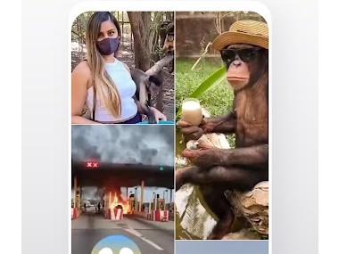 Phoenix Browser