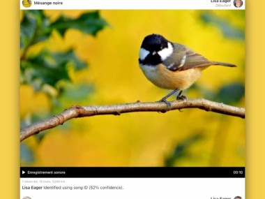 Smart Bird ID