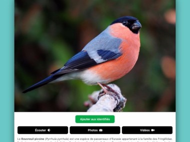 Smart Bird ID
