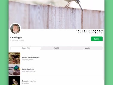 Smart Bird ID