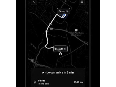 Tesla Robotaxi