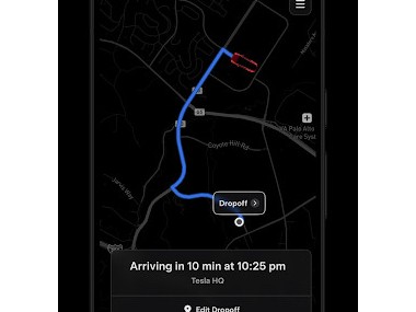 Tesla Robotaxi