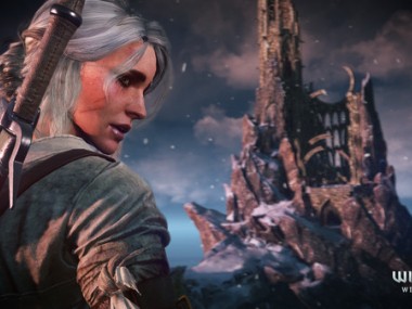 The Witcher III : Wild Hunt The Witcher III : Wild Hunt