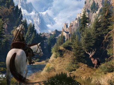 The Witcher III : Wild Hunt The Witcher III : Wild Hunt