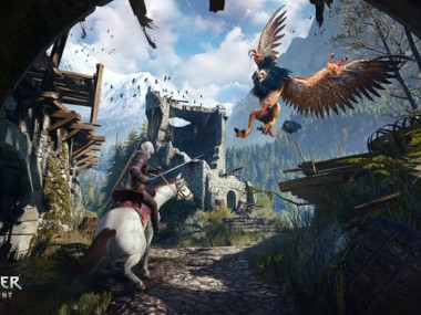 The Witcher III : Wild Hunt The Witcher III : Wild Hunt