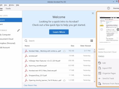 Adobe Acrobat Pro