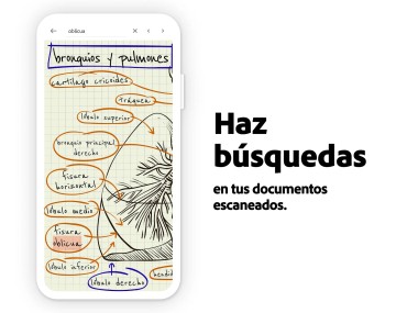 Adobe Acrobat Reader