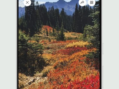 AllTrails: Hike, Bike & Run